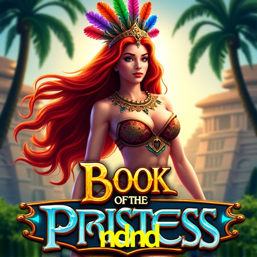 Segurança Plataforma ndnd